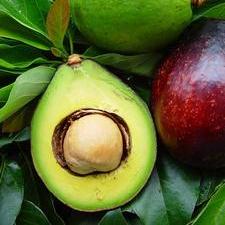 Органическое масло авокадо [емкость 15 мл]