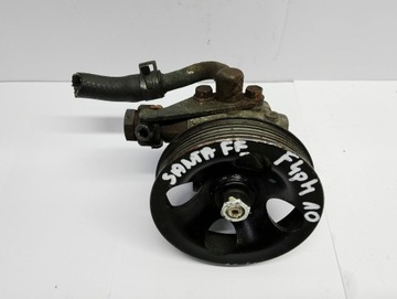 HYUNDAI SANTA FE 2011 PUMPY SERVA