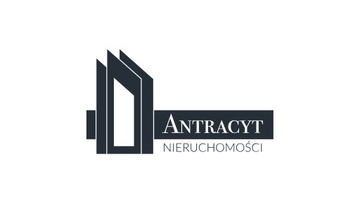 Премиум-дизайн логотипа + книга персонажей
