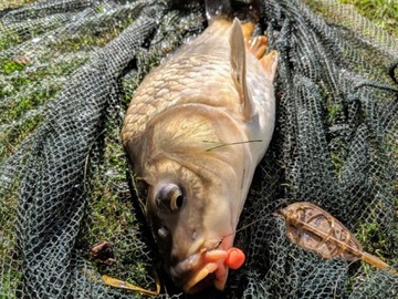 Гантели Ringers Wafters Chocolate Assorts 6 мм