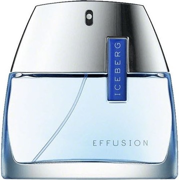 Iceberg Effusion For Man Mężczyźni 75 ml
