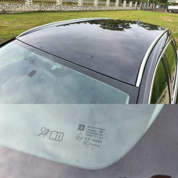 Opel Insignia I Sports Tourer 1.8 Twinport ECOTEC 140KM 2009 Opel Insignia 1.8 140KM # Sports Tourer #, zdjęcie 38