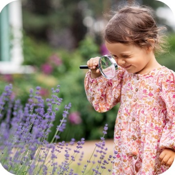 ДЛЯ ЛАВАНДЫ 1 КГ УДОБРЕНИЕ ДЛЯ МНОГО ЦВЕТЕНИЯ ВЫСОКОЭФФЕКТИВНЫЕ МИКРОЭЛЕМЕНТЫ