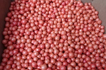 Wypełniacz-NATURALNY do paczek 5kg (cztery kolory)
