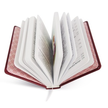 НАБОР ДЛЯ ПРИЧАСТИЯ: КНИГА + ЧЕТКИ + ЧЕХОЛ