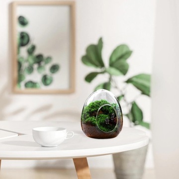 Стеклянная ваза для цветов в форме гусиного яйца Стеклянная ваза для цветов для украшения стола и спальни