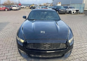Ford Mustang VI 2016 Ford Mustang 2016 Ford Mustang 2.3 - w POLSCE po oplatach i akcyzie FV, zdjęcie 9