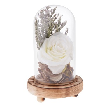 Glass Display Cloche Flower Immortal White