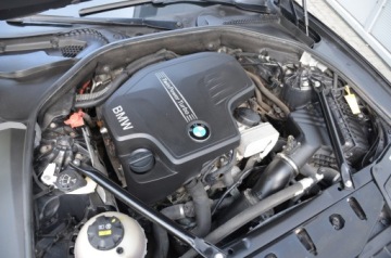 BMW Seria 5 F10-F11 Limuzyna Facelifting 528i 245KM 2014 LUXURY 528i 245KM LIFT SERWIS SKÓRA BI-XENON NAVI KAMERA PAMIĘCI 6WB VAT23%, zdjęcie 17