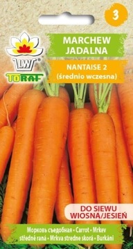 Marchew Nantaise 2 Średnio-Wczesna Nasiona 5g