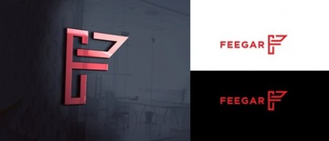 FM-передатчик FEEGAR Q100 Pro, комплект громкой связи