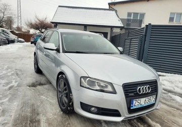 Audi A3 8P Hatchback 3d 2.0 TDI CR 170KM 2011 Audi A3 Sportback Wymieniony rozrzad Nowe tarcze, klocki. 2.0 Diesel, zdjęcie 3