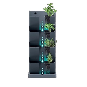 Вертикальный сад, стена, каскад, гербарий, клумба