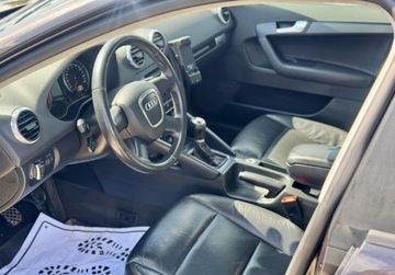 Audi A3 8P Hatchback 3d 1.6 102KM 2008 Audi A3 Sportback 1.6 MPI 102KM skory PDC cliamtronic tempoamt alu grzane, zdjęcie 16