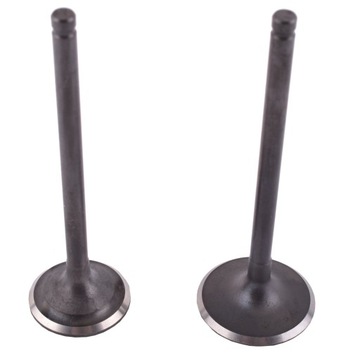 ZAWORY SSACY WYDECHOWY 250cc CB250D-G CROSS