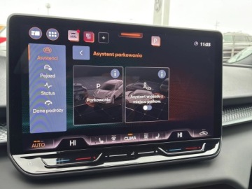 Cupra Terramar SUV 2.0 TSI 204KM 2026 Cupra Terramar Advantage Edition 2.0 TSI 204 KM DS, zdjęcie 22