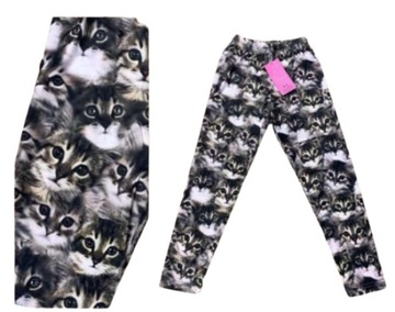 Legginsy getry PRINT całe w kotki rozmiar 104