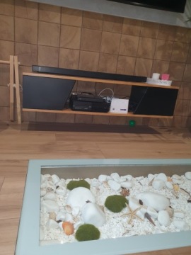 ГАЛЬКА ГРЕЧЕСКАЯ ТАССОС 2-4см БЕЛЫЙ КАМЕНЬ