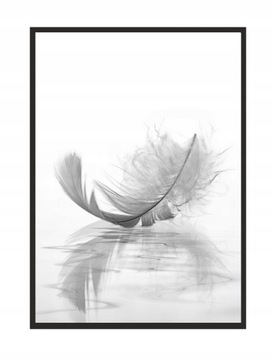 OBRAZ, PLAKAT W RAMIE 33x43 cm Piórko P520