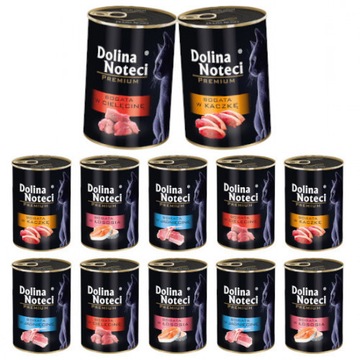 DOLINA NOTECI PREMIUM KOT mix smaków 12x400g