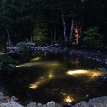 СВЕТОДИОДНОЕ ОСВЕЩЕНИЕ ДЛЯ АКВАРИУМА ЧЕРНАЯ ВОДА