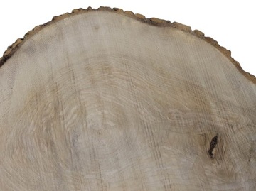 Срез ясеня 54х37см, разные размеры, дерево