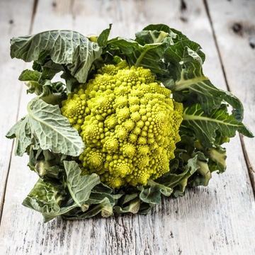 WYŚMIENITY WŁOSKI Zielony KALAFIOR Romanesco 1g