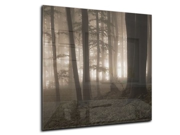 lacobel hartowany grafika panel 50x50 las