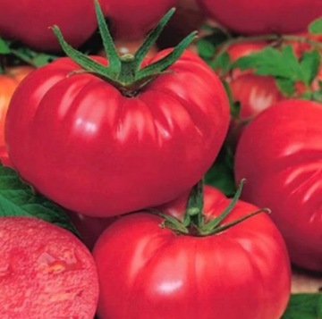 BIOPON NASIONA POMIDOR TYP MALINOWY NISKI 0,2 g