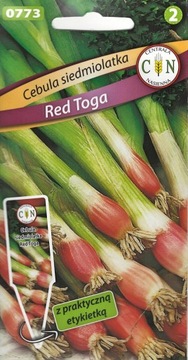 SIEDMIOLATKA RED TOGA super szczypior i szalotki