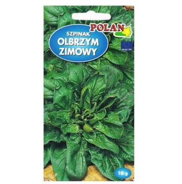 SZPINAK OLBRZYM ZIMOWY nasiona szpinaku Polan 10g