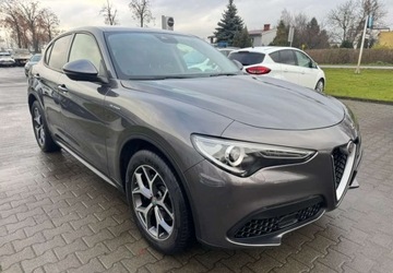 Alfa Romeo Stelvio SUV Facelifting 2.0 Turbo 200KM 2021 Alfa Romeo Stelvio Alfa Romeo Stelvio 2.0 Benzyna 201KM, zdjęcie 3