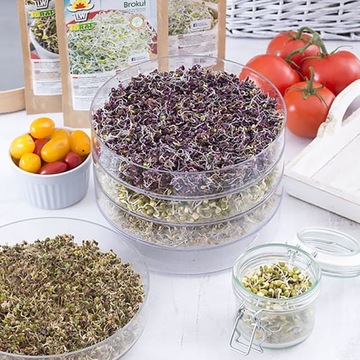 Ящик для рассады Тораф, прозрачный, 20х15 см.