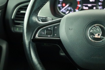 Skoda Fabia III Kombi 1.2 TSI 110KM 2017 Skoda Fabia 1.2 TSI, Salon Polska, Serwis ASO, zdjęcie 14