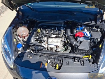 Ford Fiesta VIII Hatchback 3d 1.0 EcoBoost 125KM 2018 Ford Fiesta 1,0 ecoboost 125KM ACTIVE navi kamera alu led oplacona Benzyna, zdjęcie 21