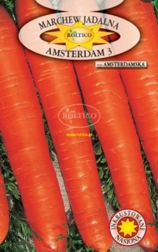 Marchew Amsterdam najwczesniejsza 5g zaprawiana