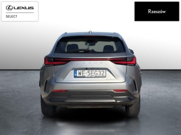 Lexus NX II SUV Facelifting 2.5 350h 243KM 2024 Lexus NX 350h Elegance 2WD II (2021-) NX350h Elega, zdjęcie 3