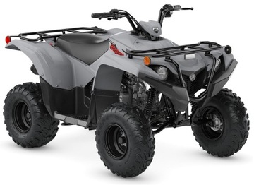 ВЫХЛОПНАЯ СИСТЕМА ВЫХЛОПНАЯ СИСТЕМА BIG GUN Yamaha Raptor Grizzly 90 Polaris Outlaw 90