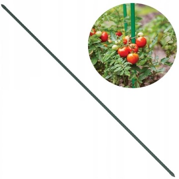 TYCZKA PODPORA PALIK POMIDORÓW PAPRYKI KWIATÓW ROŚLIN WARZYW 120CM 1 SZTUKA