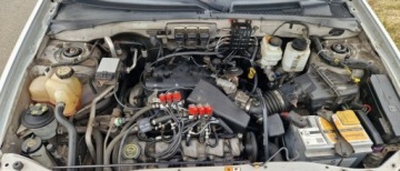 Ford Maverick II 3.0 i V6 24V AWD 203KM 2005 Ford Maverick LIFT 3.0 V6 Gaz Sekw. 44 Skora Navi Hak 3.0 BenzynaLPG, zdjęcie 5