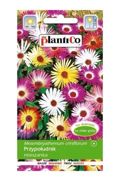 Przypołudnik Mix 0,05g Nasiona PlantiCo