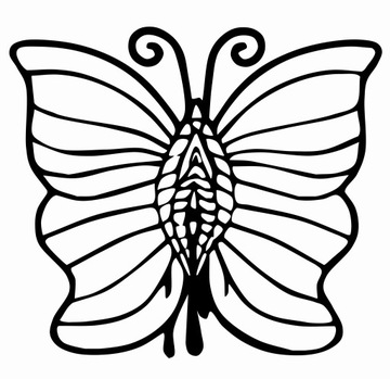 MOTYL GEOMETRYCZNY dekoracja ścienna obraz 40cm