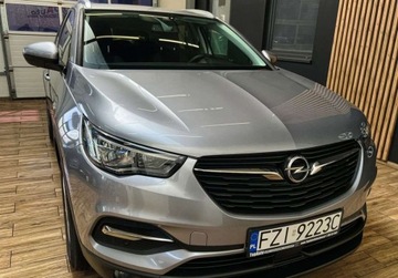 Opel 2019 Opel Grandland X 130 KM manual BEZWYPADKOWY gwarancja ZAREJESTROWANY, zdjęcie 3