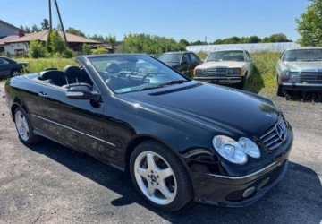 Mercedes CLK W209 Cabrio A209 5.0 V8 (500) 306KM 2003 Mercedes-Benz CLK Mercedes-Benz CLK 500 Avantgarde 5.0 Benzyna 306KM, zdjęcie 5