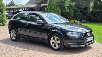 Audi A3 8P Hatchback 3d 1.6 TDI 90KM 2011 AUDI A3 1.6 TDI AMBITION 2011 KLIMATRONIK ALU SUPER STAN! FAKTURA MARŻA!, zdjęcie 1