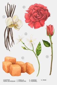 ЖЕНСКИЕ ДУХИ ZARA ROSE GOURMAND FOR HER 80 МЛ