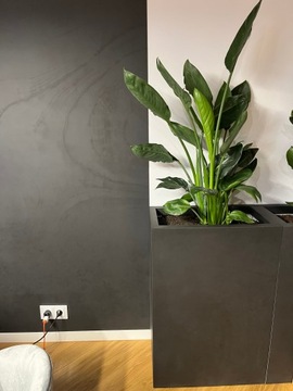 donica ze spieku kwarcowego