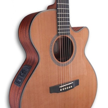 DOWINA RIESLING GACE ЭЛЕКТРОАКУСТИЧЕСКАЯ ГИТАРА GRAND AUDITORIUM