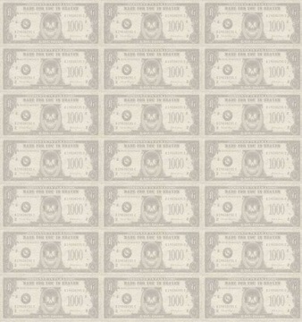 tapeta NOWOCZESNA DOLARY KANTOR BANKNOTY