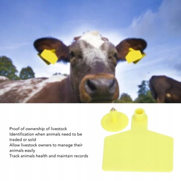 СЕРЬГИ ДЛЯ СВИНОК 100 ШТ.